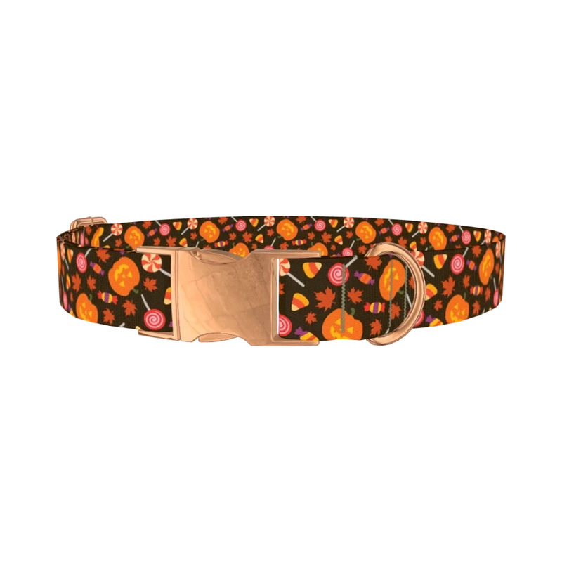 Halloween Candy Pumpkin Dog Collar - metal rose gold