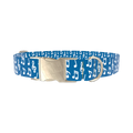 Musical Notes Dog Collar - metal silver