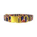 Striped Football 8870462849239 Dog Collar - metal gold