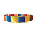 Mexican Textile Stripes Dog Collar - metal gold