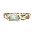 Tropical Hibiscus Dog Collar - plastic silver