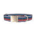 Blue Grey Red Striped Dog Collar - metal silver