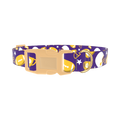 Football Theme Dog Collar - plastic gold