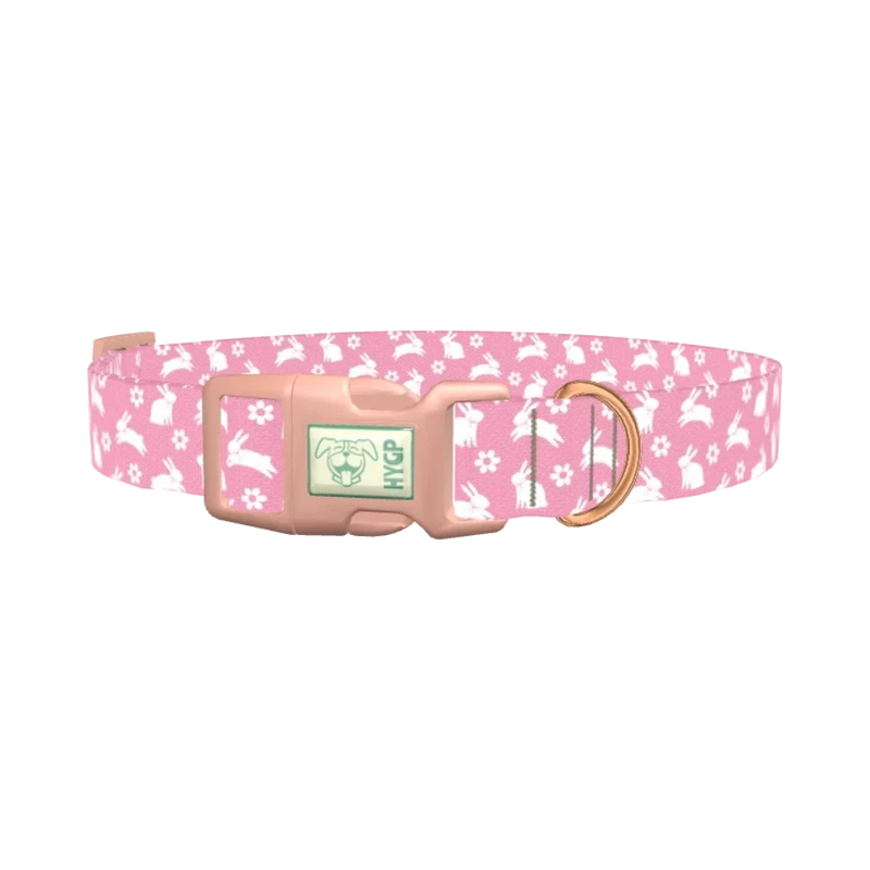 Daisy Bunny Dog Collar - plastic rose gold