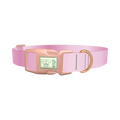 Pink Gradient Dog Collar - plastic rose gold
