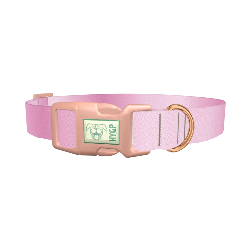Pink Gradient Dog Collar - plastic rose gold