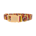 Football Stripe Dog Collar - plastic gold