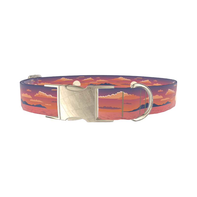 Sunset Ocean Dog Collar - metal silver