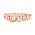 Flying Heart Dog Collar - plastic gold