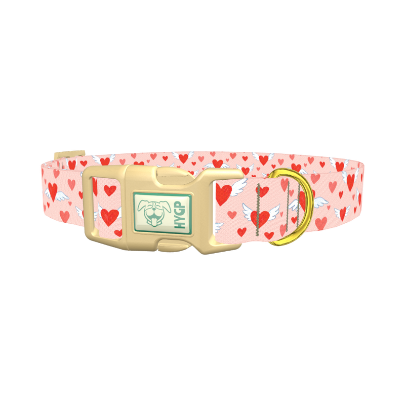 Flying Heart Dog Collar - plastic gold