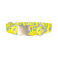 Yellow Abstract Dog Collar - metal silver