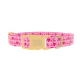 Valentine Heart Dog Collar - plastic gold