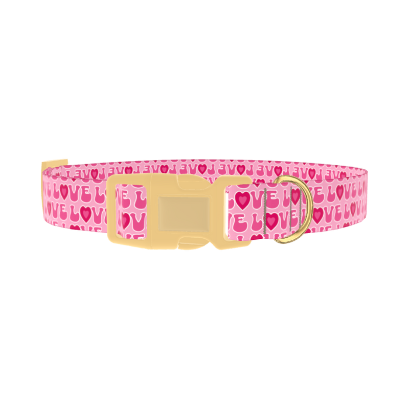 Valentine Heart Dog Collar - plastic gold