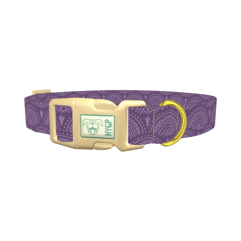 Purple Eye Pattern Dog Collar - plastic gold