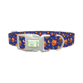 Night Owl Dog Collar - plastic silver