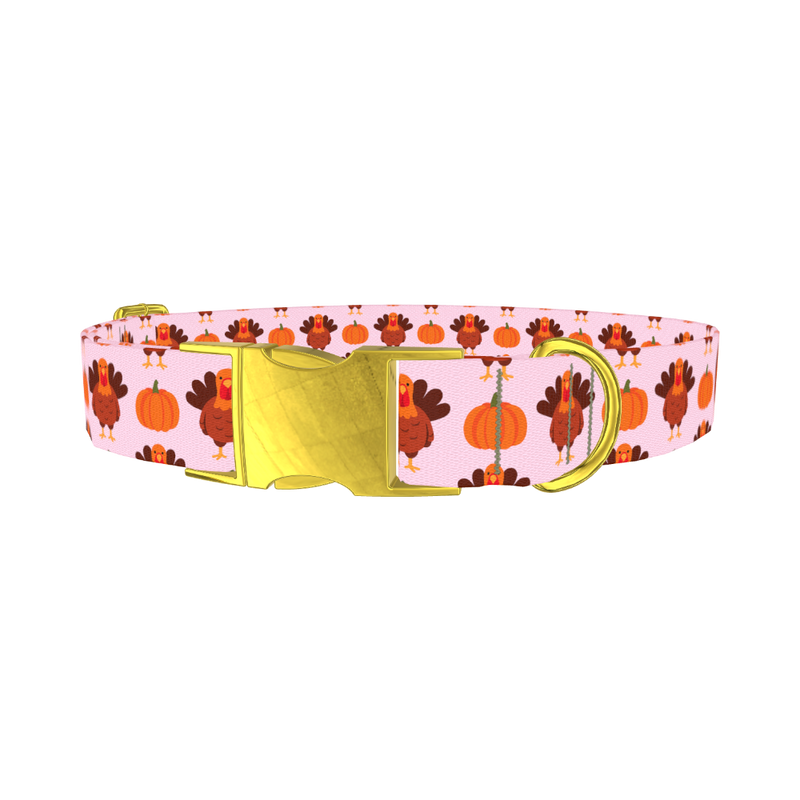 Turkey Pumpkin Pattern Dog Collar - metal gold