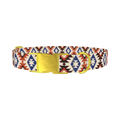 Aztec Star Dog Collar - metal gold