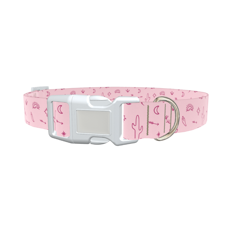 Desert Cactus Dog Collar - plastic gold