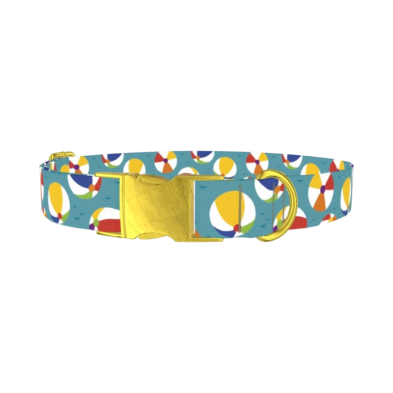 Colorful Beach Ball Pattern Dog Collar - metal gold