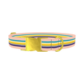 Multicolor Stripes Dog Collar - metal gold