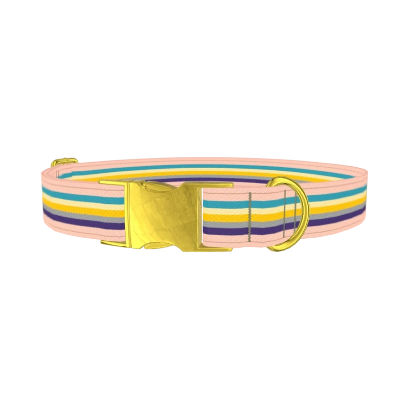 Multicolor Stripes Dog Collar - metal gold