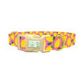 Pink Lemon Pattern Dog Collar - plastic gold