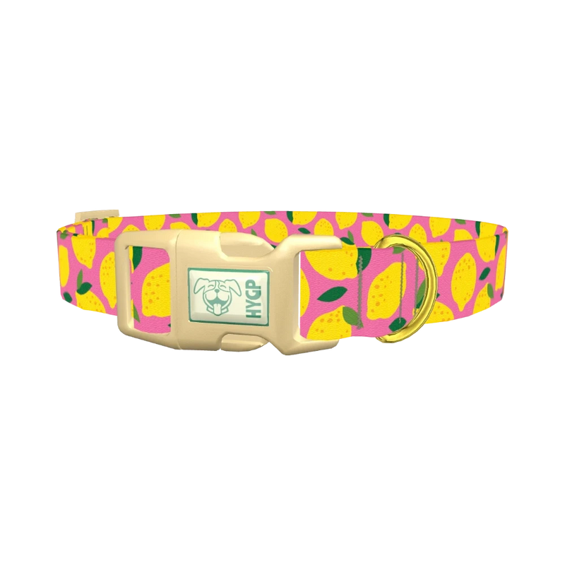 Pink Lemon Pattern Dog Collar - plastic gold