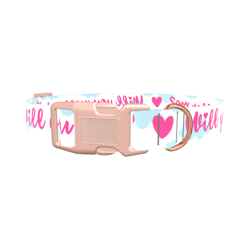 Romantic Heart Dog Collar - plastic silver