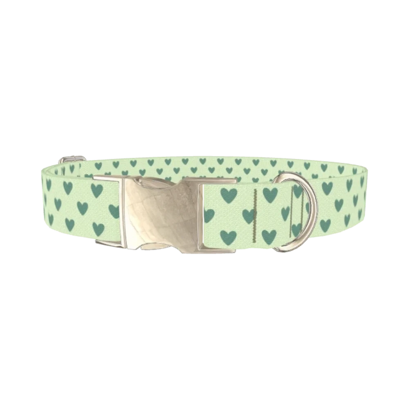 Light Green Heart Dog Collar - metal silver