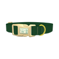  - plastic gold