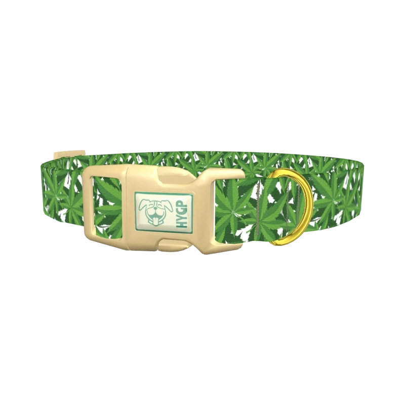 Leaf Pattern Dog Collar - plastic gold