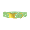Green Heart Dog Collar - metal gold