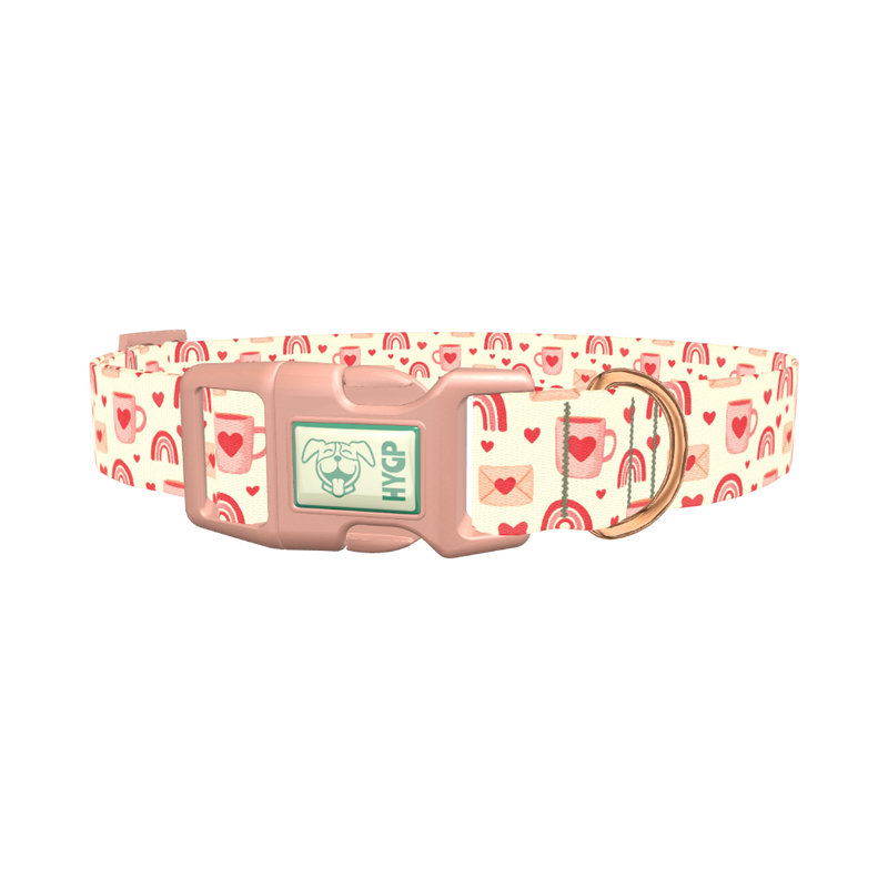 Valentine Mug and Envelope Dog Collar - plastic rose gold