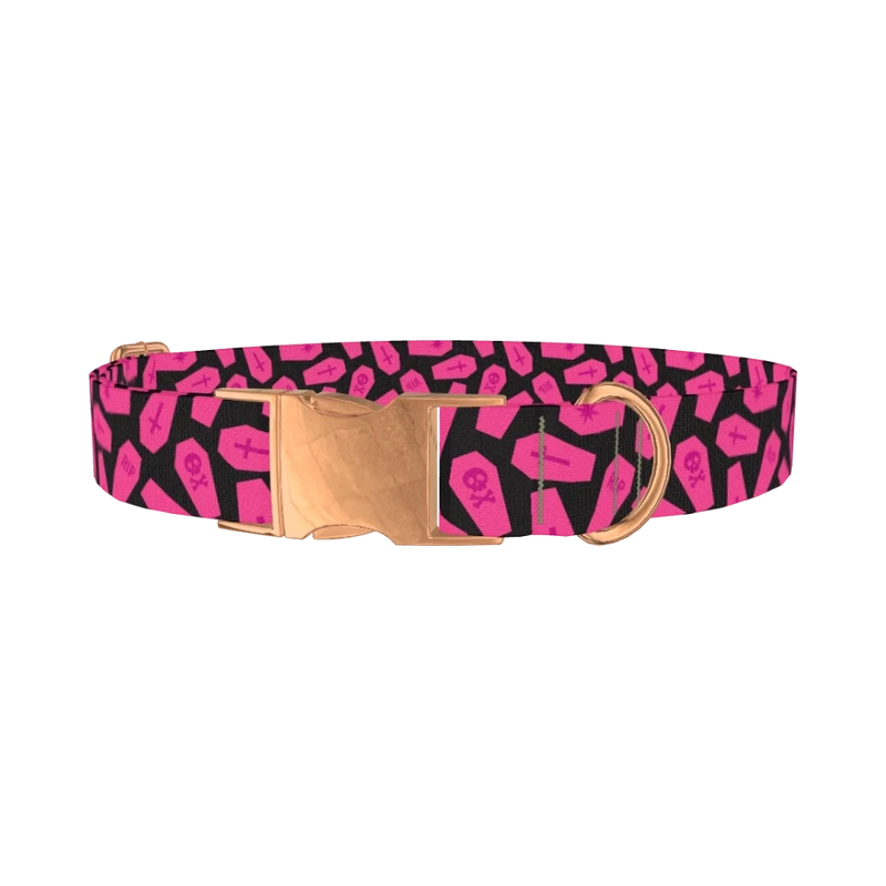 Halloween Coffin Dog Collar - metal rose gold