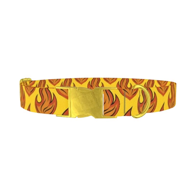 Flame Burst Dog Collar - metal gold