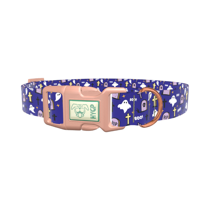 Purple Graveyard Halloween Dog Collar - plastic gold