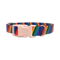 Geometric Rainbow Dog Collar - plastic gold