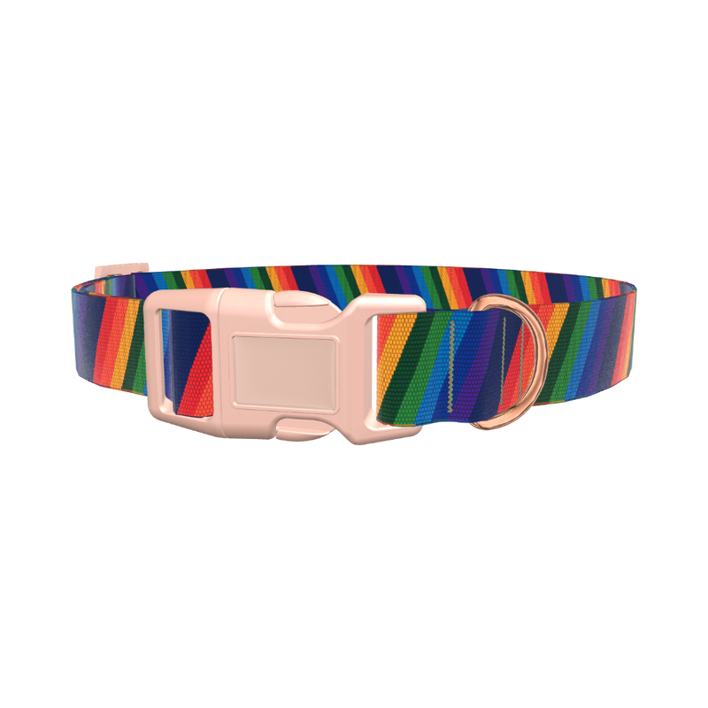 Geometric Rainbow Dog Collar - plastic gold