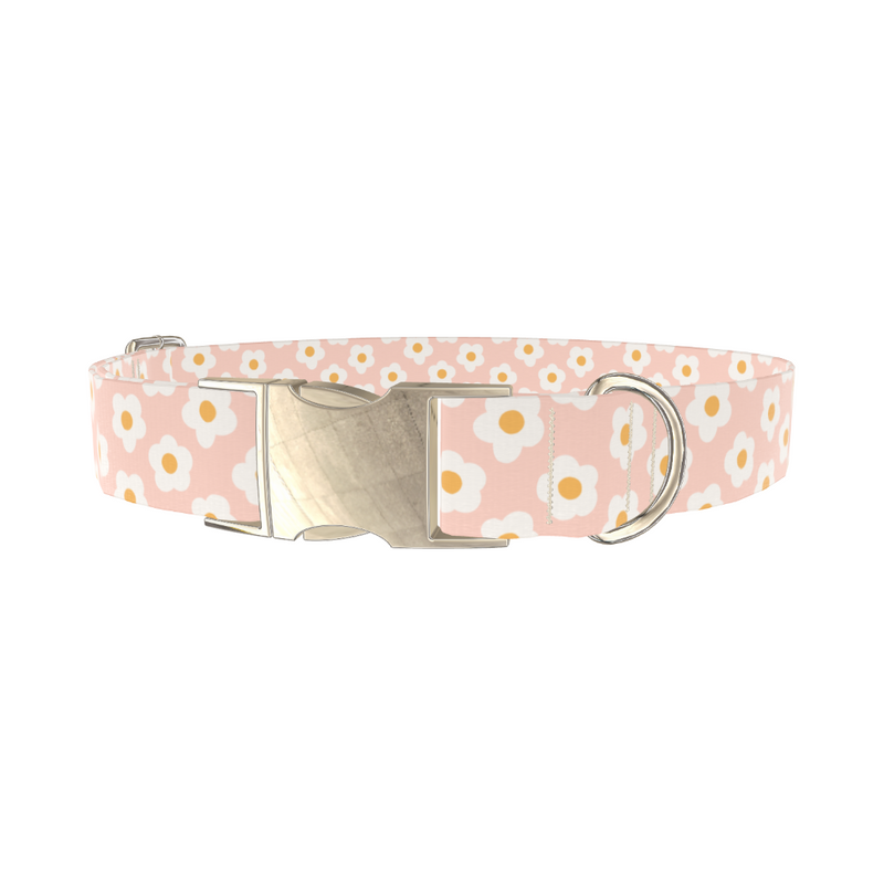 Peach Daisy Pattern Dog Collar