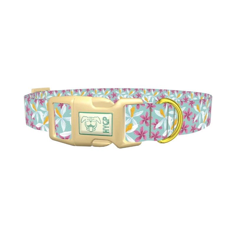 Tropical Orchid Dog Collar - plastic gold
