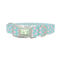 Pastel Valentine Heart Dog Collar - plastic silver