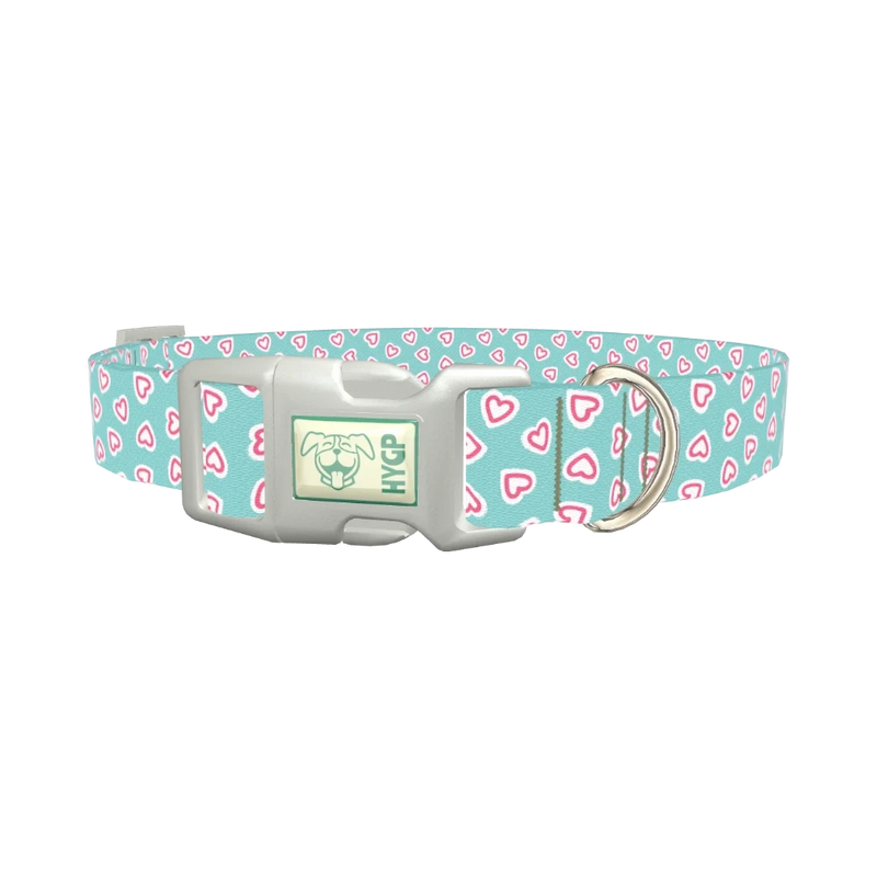 Pastel Valentine Heart Dog Collar - plastic silver