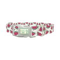 Watermelon Fruit Dog Collar - plastic silver