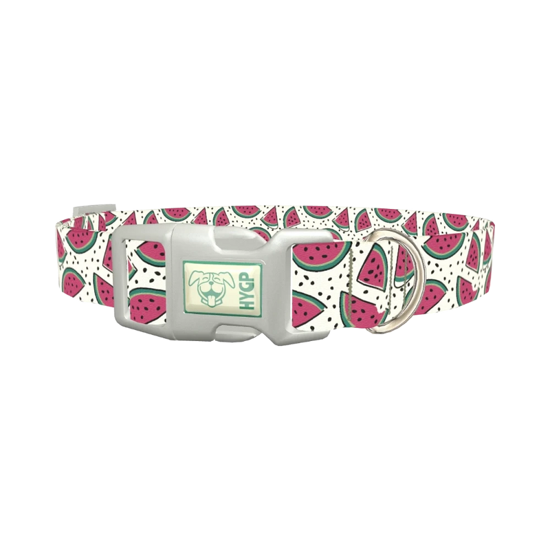 Watermelon Fruit Dog Collar - plastic silver