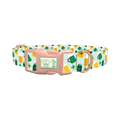 St. Patrick's Day Cheers Dog Collar - plastic rose gold