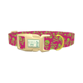 Skull Pattern Dog Collar - plastic gold
