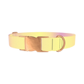 Sunset Gradient Dog Collar - metal rose gold