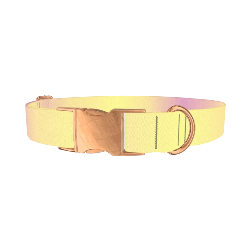 Sunset Gradient Dog Collar - metal rose gold