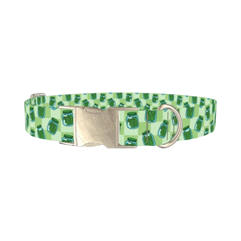 Pickle Jar Dog Collar - metal silver