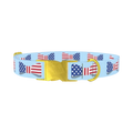 Patriotic Bowtie Dog Collar - metal gold
